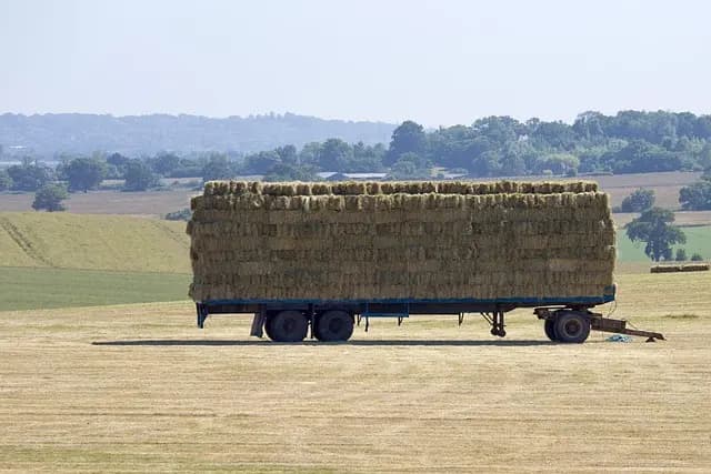 Guide d'achat remorque agricole : critères et produits